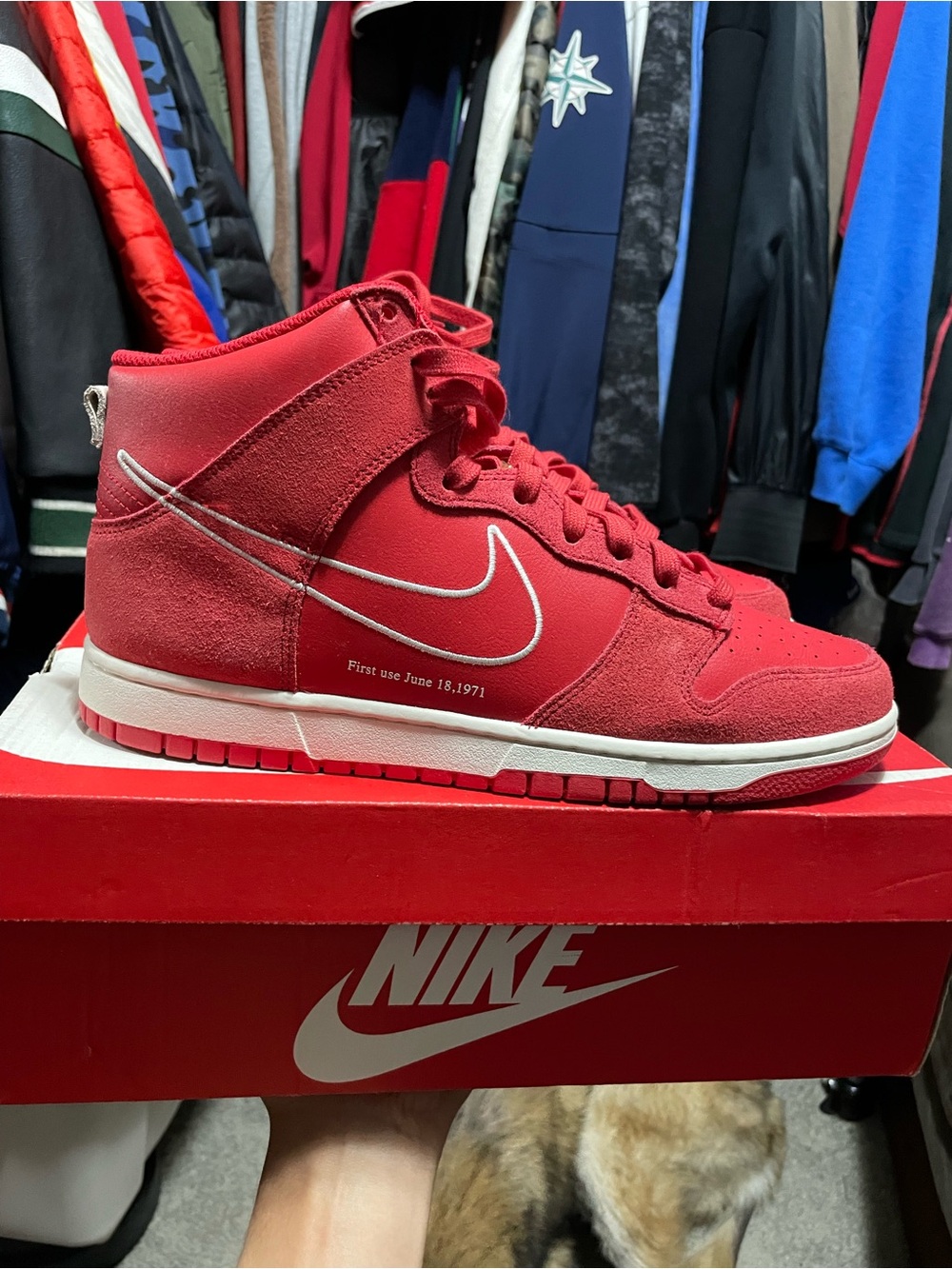 Nike Dunk High First Use Red Size 11.5